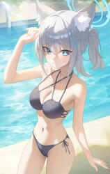 shiroko (blue archive) from blue archive