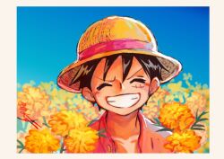 monkey d. luffy from one piece