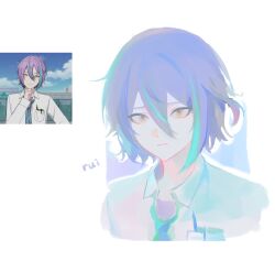 kamishiro rui from project sekai