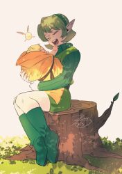 link from the legend of zelda