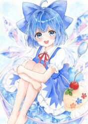 cirno from touhou