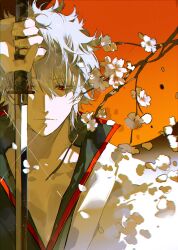 sakata gintoki from gintama