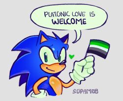 sonic the hedgehog from sonic (series)