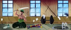 roronoa zoro from one piece