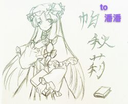 patchouli knowledge from touhou