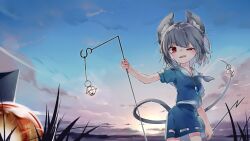 nazrin from touhou by kibayashi kimori