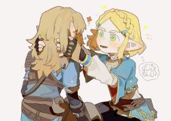 link from the legend of zelda