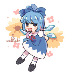 cirno from touhou