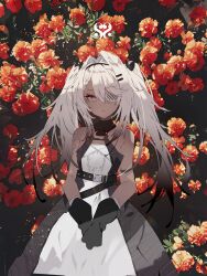 hs.50 (girls' frontline) from girls frontline by soukou makura