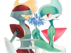 bisharp from pokemon