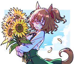 aston machan (umamusume) from umamusume