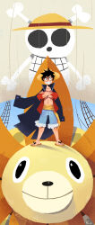 monkey d. luffy from one piece