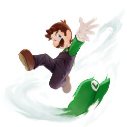 luigi from super mario bros.
