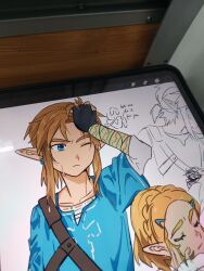 link from the legend of zelda