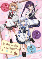 hoto cocoa from gochuumon wa usagi desu ka?