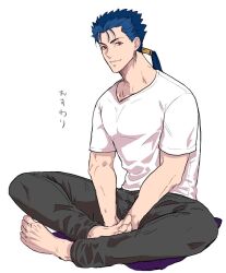 cu chulainn (fate) from fate (series) by hourinoki