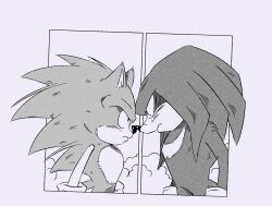 knuckles the echidna from dragon ball