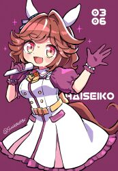 umamusume fan art
