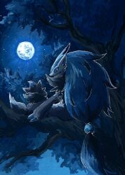 zoroark from pokemon by 7 phi 3