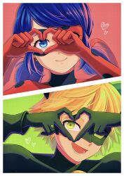 adrien agreste from miraculous ladybug