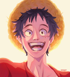 monkey d. luffy from one piece