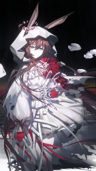 amiya (arknights) from arknights