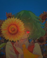 kazami yuuka from touhou by yoshino (q sci)