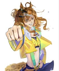 jungle pocket (champion's battle cry) (umamusume) from umamusume