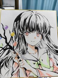 houraisan kaguya from touhou