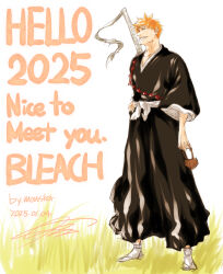 kurosaki ichigo from bleach