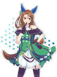 king halo (umamusume) from umamusume