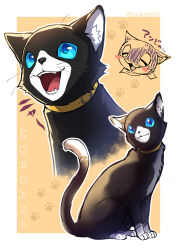 morgana (cat) (persona 5) from persona