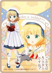 kirima syaro from gochuumon wa usagi desu ka?