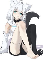 shirakami fubuki from hololive