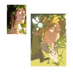 link from the legend of zelda
