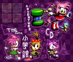 amy rose from sonic (series)