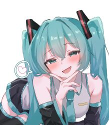 hatsune miku from vocaloid