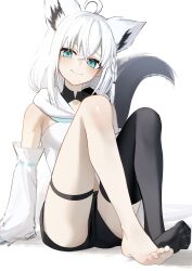 shirakami fubuki from hololive