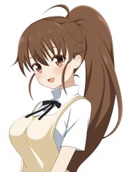 taneshima popura from working!!