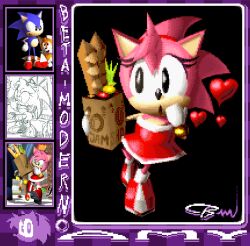 amy rose from sonic (series)