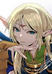 deedlit from record of lodoss war by kobayashi gen