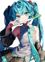 hatsune miku from vocaloid