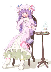patchouli knowledge from touhou
