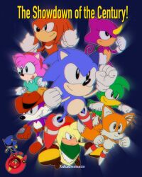 amy rose from sonic (series)