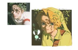 link from the legend of zelda