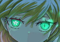 mizuhashi parsee from touhou