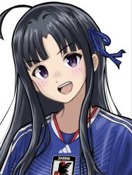 world cup fan art