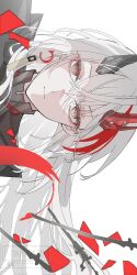 punishing: gray raven fan art