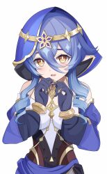layla (genshin impact) from genshin impact