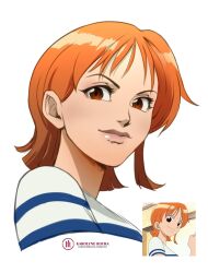nami (one piece) from one piece